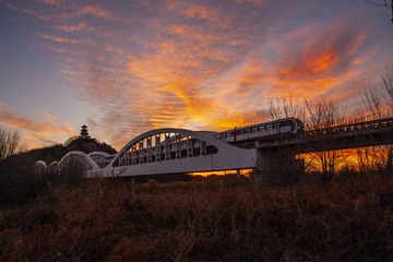IMG_6640