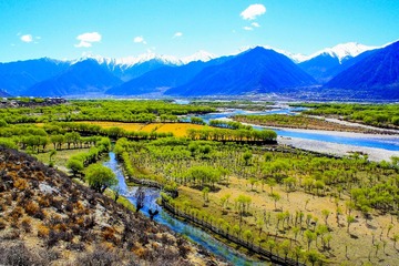 IMG_5474_1