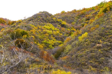 DSC04638_1