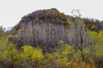 DSC04578_1