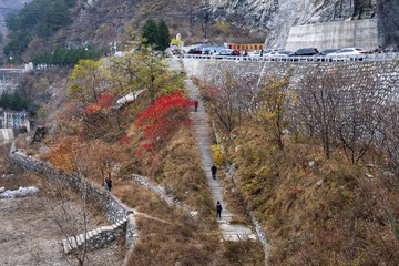 IMG_9773