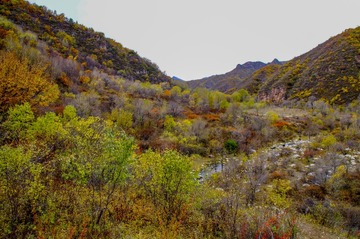 DSC04580_1