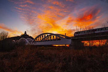 IMG_6643