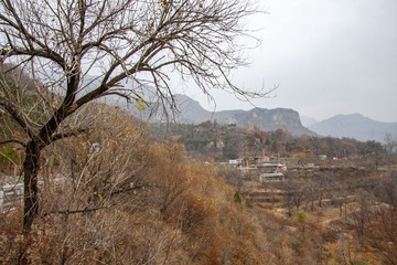 IMG_9909