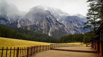 DSC09239_1