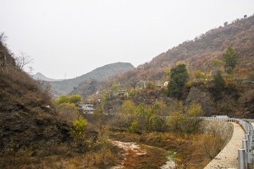 IMG_9872_1