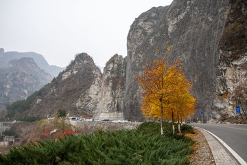 IMG_9731