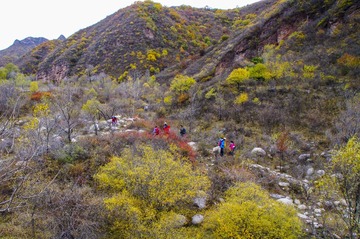 DSC04591_1