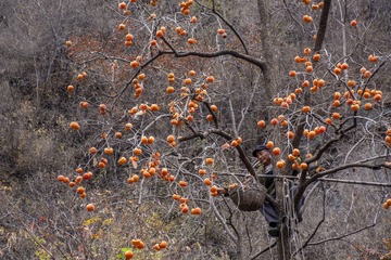 IMG_9647