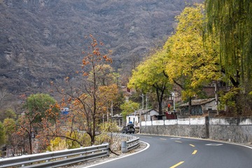 IMG_9608