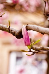 IMG_5503.jpg