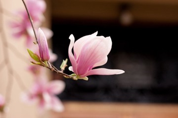 IMG_5506.jpg