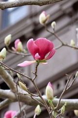 IMG_5556.jpg