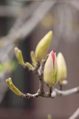 IMG_5562.jpg