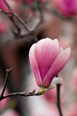 IMG_5609.jpg
