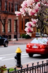 IMG_5630.jpg