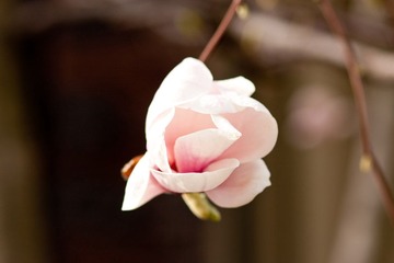 IMG_5665.jpg