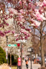 IMG_5675.jpg
