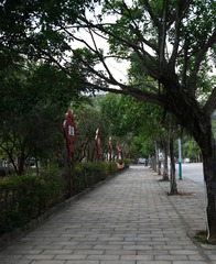 473065