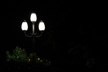 CD3983B8-C6F0-4374-8C6F-C00DF3F43DE9/L0/001