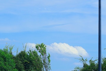 01D2F57D-2F75-465C-B4F4-8CFB5695B289/L0/001
