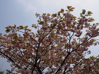 6E9383A3-7E1C-4C6E-A818-F520FEF51563/L0/001