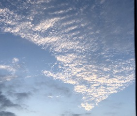 1000581638