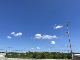 D77507DD-60F0-463C-B856-ED386551594A/L0/001