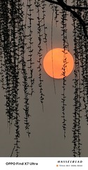 1000005704