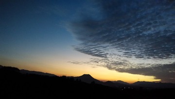 BC0BD69A-1D95-4A07-813E-94B5CC253044/L0/001
