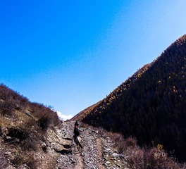 20121004-_1100719