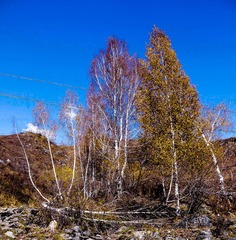 20121004-_1100729