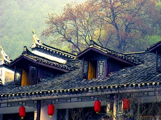 未命名-09350