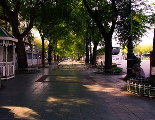 未命名-1-3