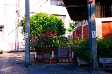 未命名-1-43