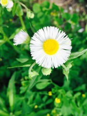 FPIC_20160417_154452_343