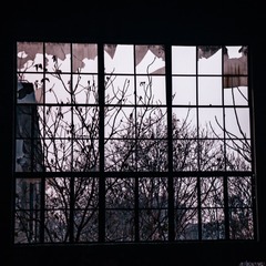 5217780E-5345-4B91-93F3-1BFD391F2CA0/L0/001