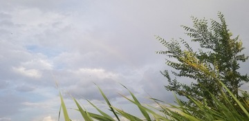 418