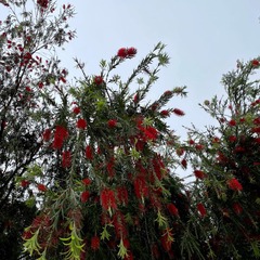 BD330271-0260-4F56-8CA9-C82119E35695/L0/001