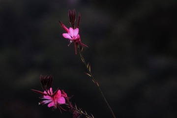 B10F7967-C576-420E-AA17-C6BCE7FE29D8/L0/001