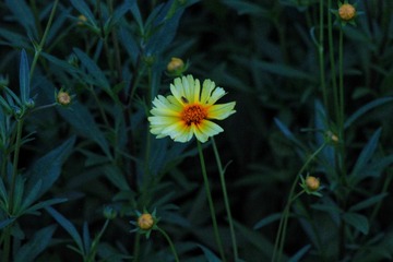 9DCA72C2-A751-45AB-8799-1DA35F7FCDF1/L0/001