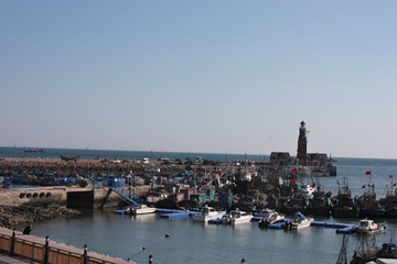 IMG_6775.jpg