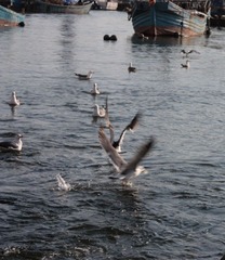 IMG_6847.jpg