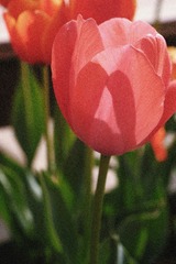 704EB779-C6E1-4D0A-82CA-37828153C711/L0/001
