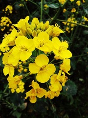 2012-03-26 16.45.19_副本.jpg