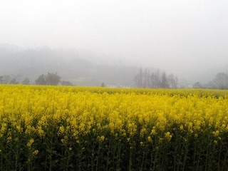 2012-03-28 12.34.46_副本.jpg
