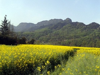 2012-03-31 09.13.01_副本.jpg