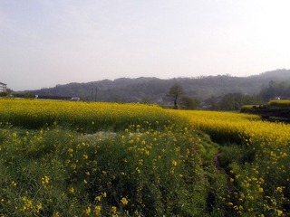 2012-03-31 09.13.50_副本.jpg