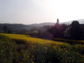 2012-03-31 09.13.56_副本.jpg