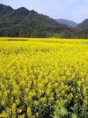 2012-03-31 09.15.25_副本.jpg